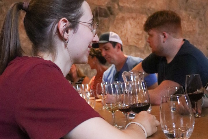 People sitting at a wooden table with glasses of wine in a rustic setting.