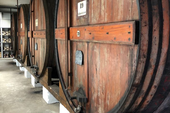 Large wooden barrels lined up in a storage area with a concrete floor.