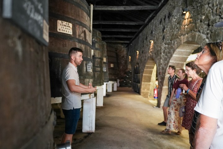 Tour guide leads a group through a stone-walled wine cellar with large barrels.